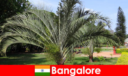 Приятный климат Бангалора круглый год стоит посетить каждому иностранцу