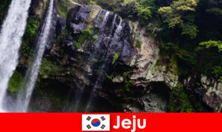 Чеджу в Южной Корее, субтропический вулканический остров с захватывающими дух лесами для иностранцев.