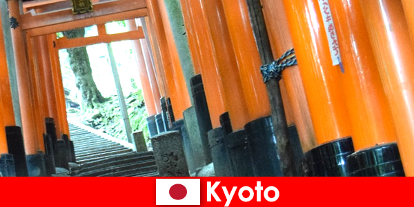 Киото, рыбацкая деревня в Японии, предлагает различные достопримечательности ЮНЕСКО.