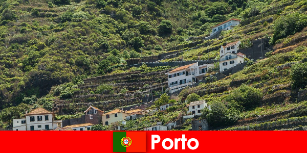 Отдых в Порту для любителей вина со всего мира