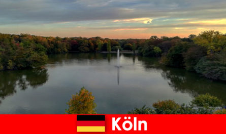 Путешествие на природе по лесам, горам и озерам в природных парках Кельна, Германия