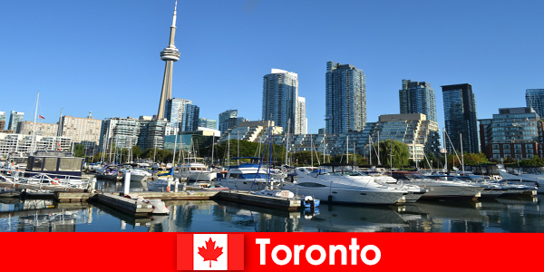 Торонто в Канаде — современный мегаполис у моря, очень популярный у городских туристов.