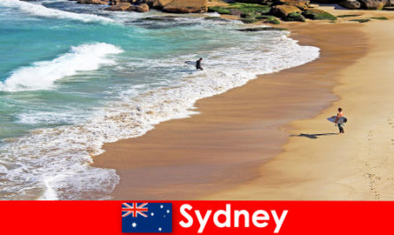 Серфингисты наслаждаются незабываемым отдыхом в Сиднее, Австралия