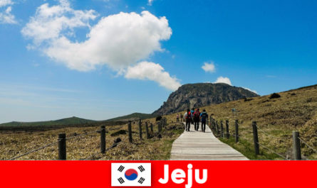 Туристы отправляются в поход по фантастическому природному ландшафту Чеджу, Южная Корея.