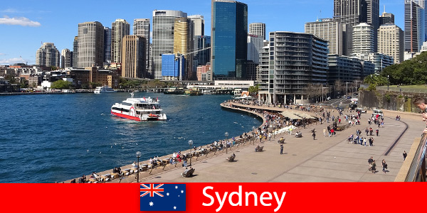 Панорамные виды на весь город Сидней, Австралия, для посетителей со всего мира.