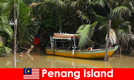 Путешествие на дальние расстояния для туристов по джунглям острова Пенанг в Малайзии