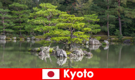 Японские сады приглашают иностранных гостей на расслабляющие прогулки по Киото