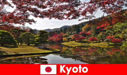 Поездка за границу в Киото, Япония, чтобы увидеть знаменитую окраску осенней листвы.