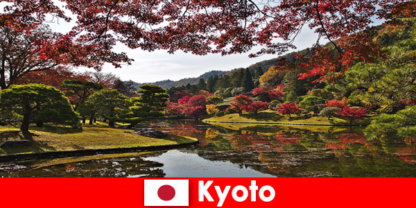 Поездка за границу в Киото, Япония, чтобы увидеть знаменитую окраску осенней листвы.