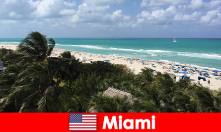 Пальмы и песчаные волны ждут долгосрочных отдыхающих в райском Майами, США.