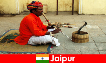 В Джайпуре, Индия, отдыхающие испытывают танцы змей и развлечения на оживленных улицах.