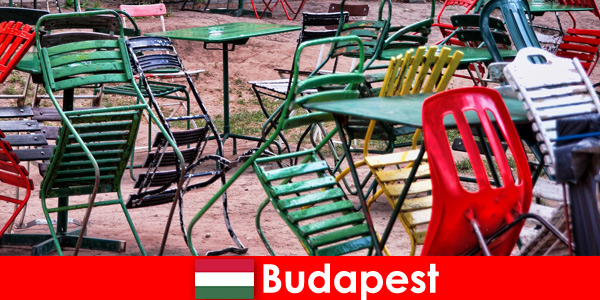 Интересные бистро, бары и рестораны ждут путешественников в прекрасном Будапеште, Венгрия.