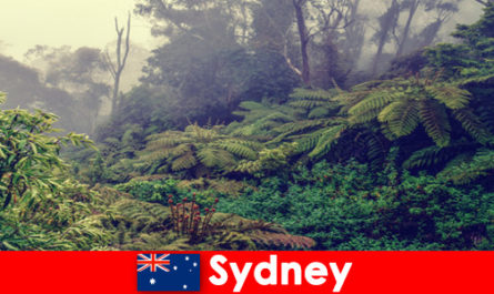 Ознакомительная поездка в Сидней, Австралия, в впечатляющий мир национальных парков.