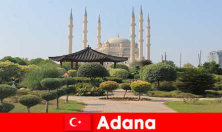 Историческая познавательная поездка для путешественников из-за границы в Адану, Турция