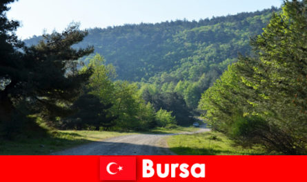 Бурса Турция предлагает организованные экскурсии для пеших туристов по красивой природе