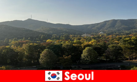 Популярные туристические пакеты для групп в Сеул Южная Корея