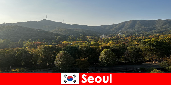 Популярные туристические пакеты для групп в Сеул Южная Корея