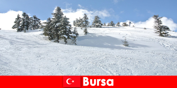 Зимняя поездка для всей семьи в самый большой горнолыжный курорт Бурса, Турция
