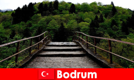 Мягкая температура - лучшее время для пеших прогулок для отдыхающих в Бодруме, Турция
