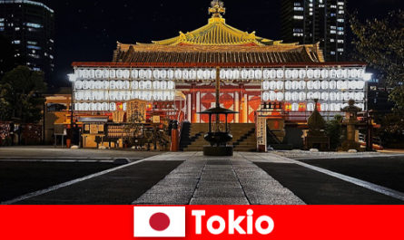 Поездка за границу для гостей Японии Познакомьтесь с культурой Токио на месте