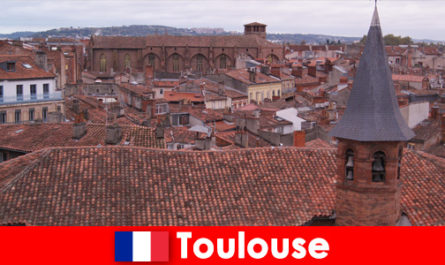 Испытайте очаровательные достопримечательности в идеальной Тулузе, Франция