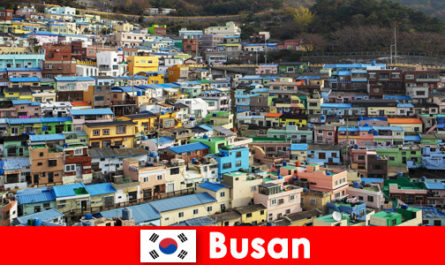 Поездка за границу в Пусан Южную Корею с культурой питания на каждом углу за небольшие деньги