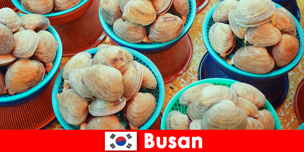 В Пусане, Южная Корея, каждый день на рынке свежие морепродукты