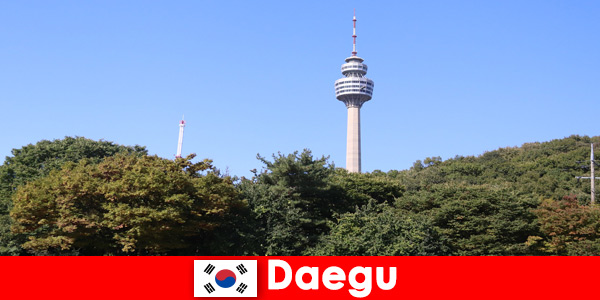 Красивый город Тэгу в Южной Корее любят туристы со всего мира