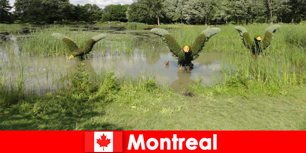 Откройте для себя природу и редких животных в Монреале, Канада