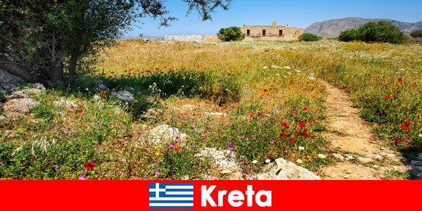 Здоровая средиземноморская еда и отдых на природе ждут отдыхающих на Крите, Греция