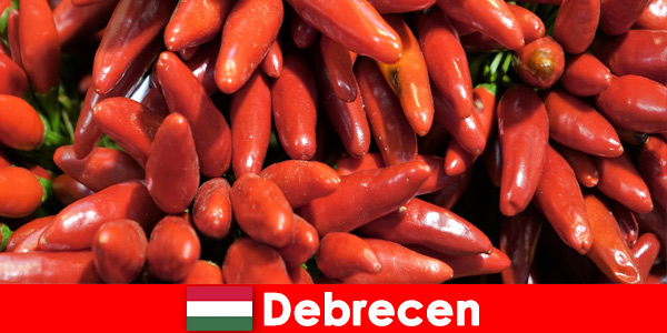 Самый известный овощ, который встречается почти в каждом блюде в Дебрецене, Венгрия