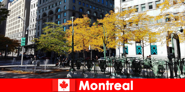 Монреаль в Канаде может многое предложить в этом прекрасном городе
