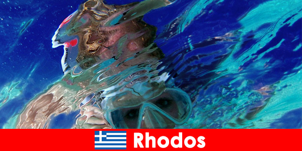 Увлекательный подводный мир, который стоит открыть для себя в раю для отдыха на Родосе, Греция