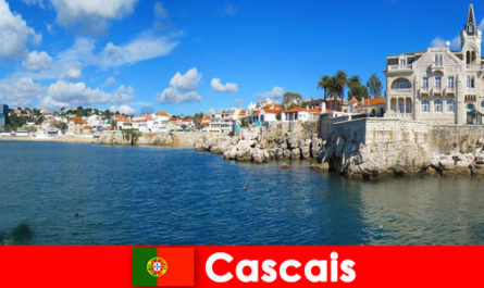 Наслаждайтесь деликатесами из Кашкайша, Португалия, с видом на море