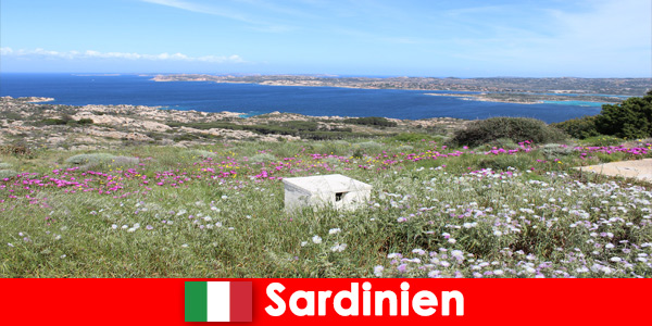 Отдых на свежем воздухе на Сардинии Италия для любителей природы