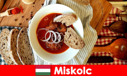 Гости Мишкольца, Венгрия, наслаждаются местными достопримечательностями и культурой