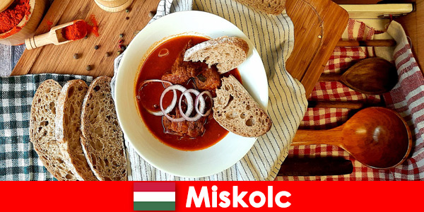 Гости Мишкольца, Венгрия, наслаждаются местными достопримечательностями и культурой