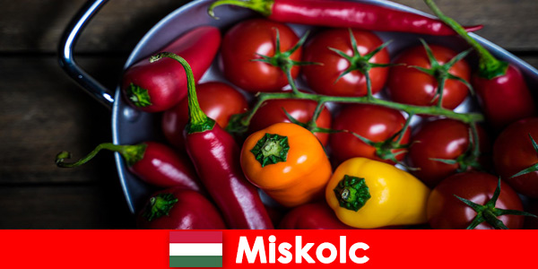 Мишкольц в Венгрии предлагает здоровую и свежую еду из региональных продуктов