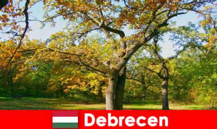 Курортный отдых для пенсионеров в Дебрецене Венгрия с душой