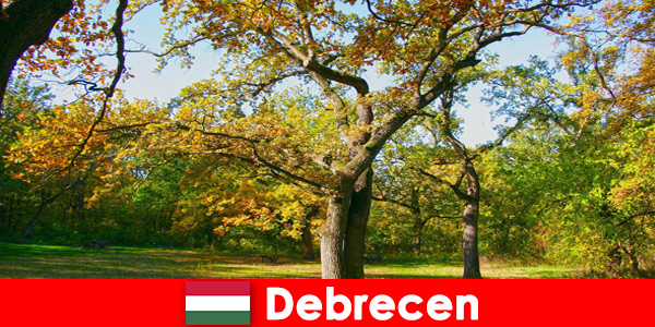 Курортный отдых для пенсионеров в Дебрецене Венгрия с душой