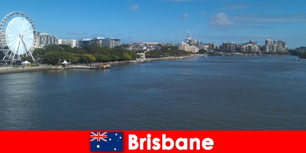 Наслаждайтесь великолепным опытом в Брисбене, Австралия, в качестве иностранца