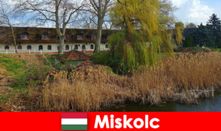 Сравнить цены на отели и проживание в Мишкольце в Венгрии стоит