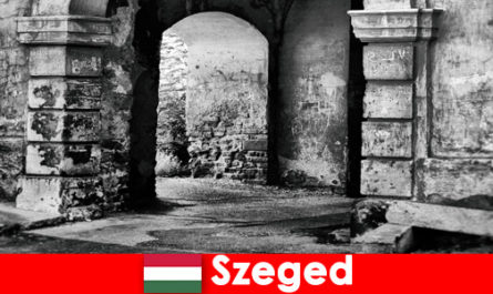 Пенсионеры любят и предпочитают жить в Сегеде, Венгрия