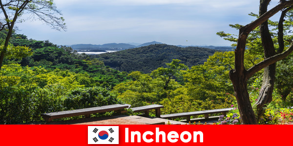 Город и природа в Инчхоне, Южная Корея, очень хорошо гармонируют друг с другом