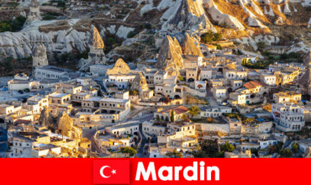 Комбинированная поездка в Мардин, Турция с отдыхом в отеле и на природе