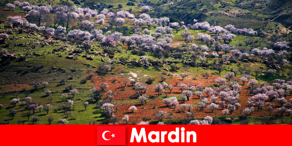 Испытайте нетронутую природу и множество местных животных на открытом воздухе в Мардине, Турция