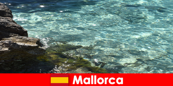 Мечтательное место тоски для всех посетителей - Майорка в Испании