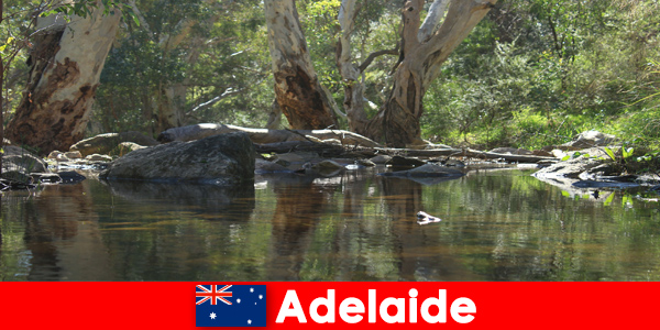 Испытайте природу в лучшем виде в Аделаиде