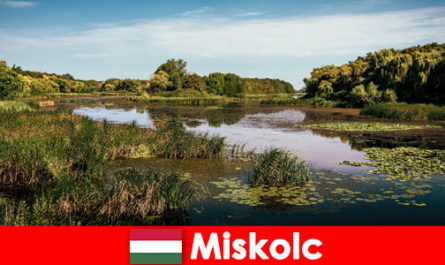 Мишкольц Венгрия предлагает множество возможностей для путешественников