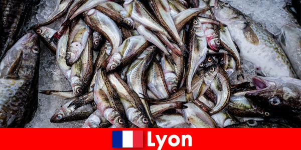 Свежая рыба и морепродукты, приготовленные до совершенства, чтобы насладиться в Лионе